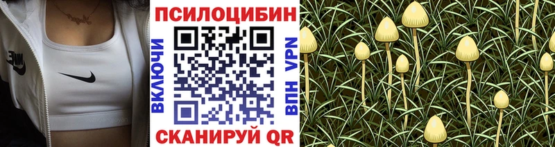 Галлюциногенные грибы прущие грибы  Магас 