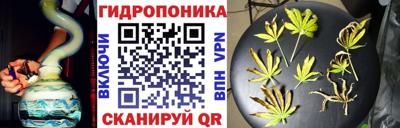 Бошки марихуана Ganja  Магас 